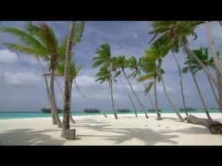 Aurosonic mascarade (amnesia ibiza mascarade '09 anthem)