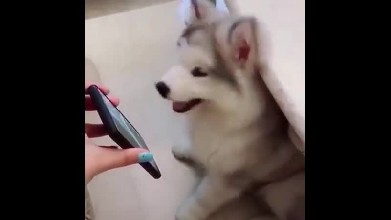 Shеs first timе hоwling!!