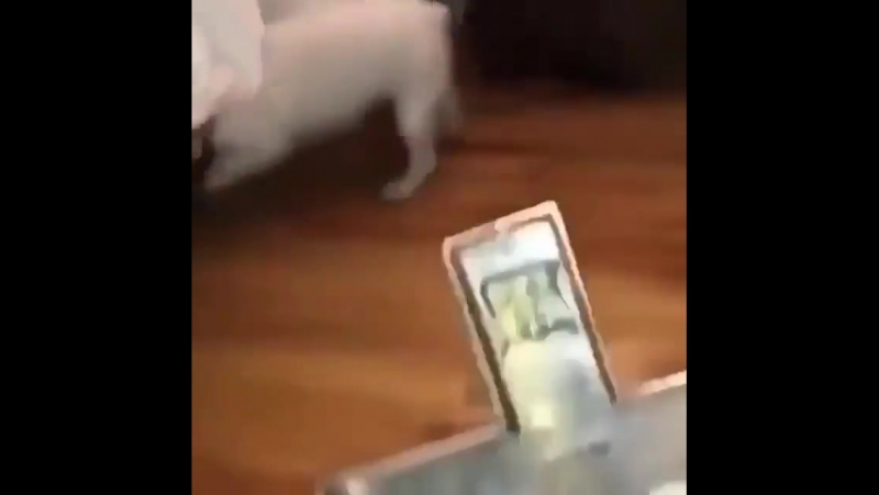 Бесноватый