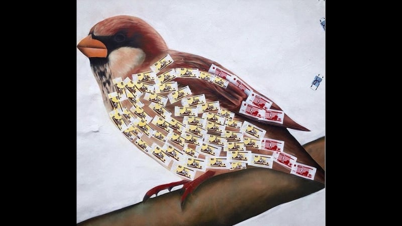 Птичка спиздила бабло 🤣