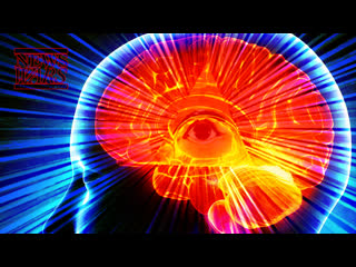 Neuroplasticity how globalists have turned your mind against you