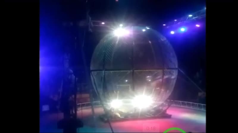 В сергиевом посаде мотоциклист упал во время выступления в цирке