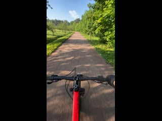 Велопрогулка в лесу, haro