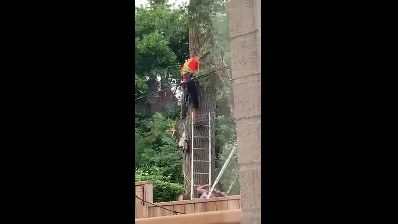 Имеешь дом, сына и дерево когда, можно ведь начать жизнь с другой уж, с чистого листа