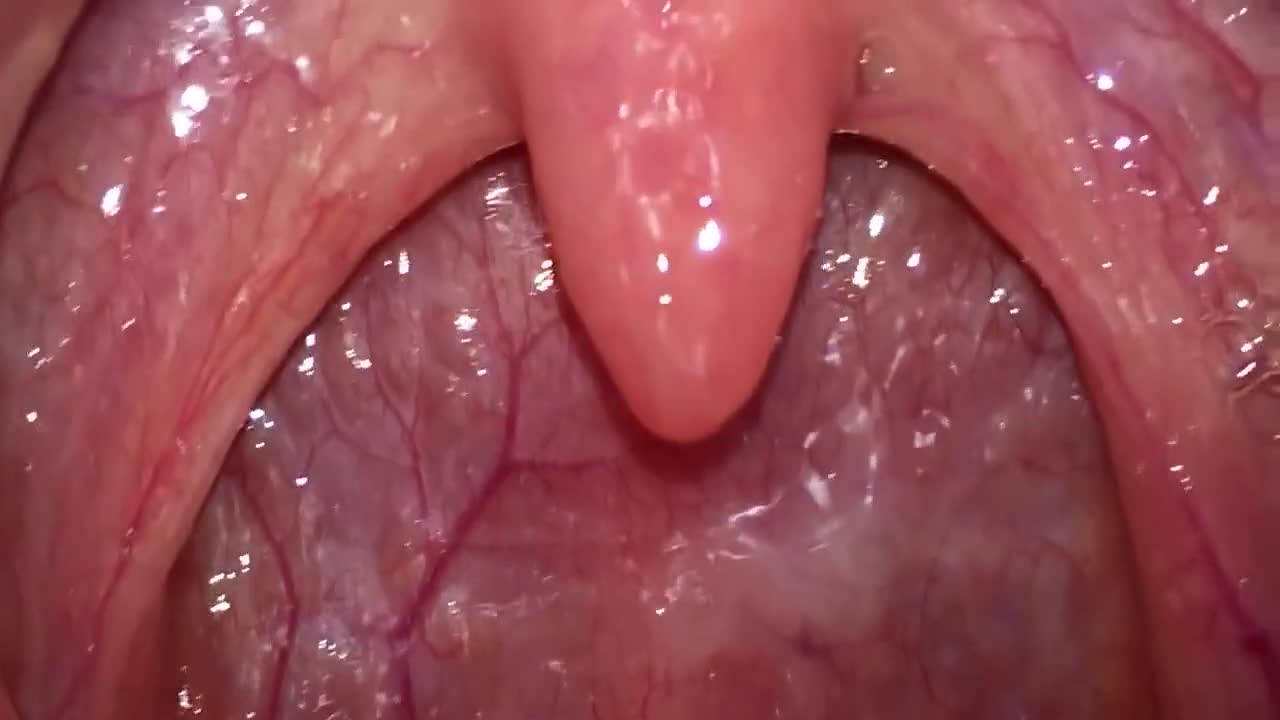 Throat and uvula close up
