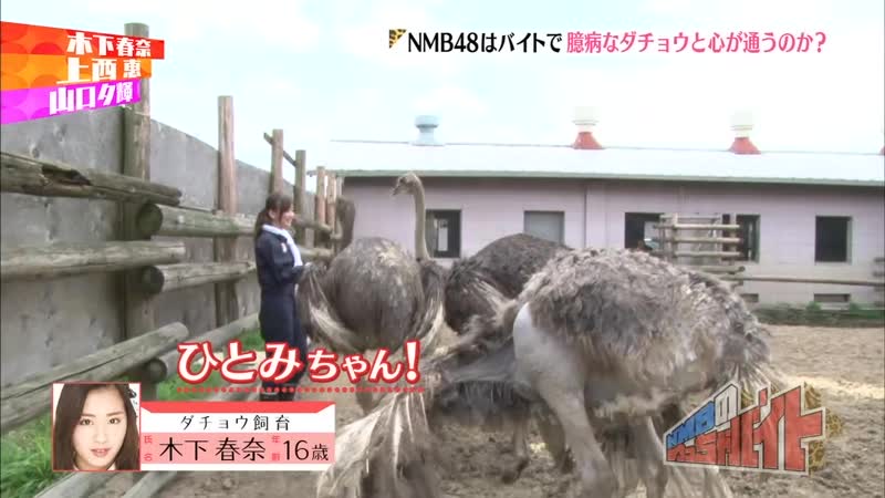 (nmb48) nmb no meccha baito ep04 140729