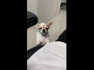 Hash swan ig story 190307 chacha