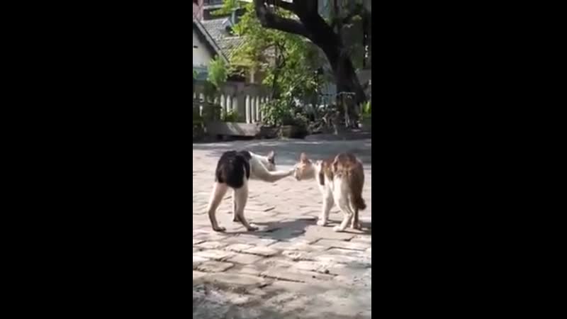 Изыди демон