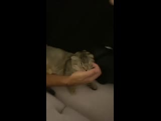 Шнуров снова ласкает киску