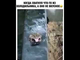 Когда жрешь всякую гадость