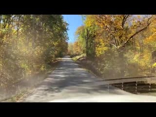 Artist retreat, log cabin style cypress home 25 acres, live water creek, prepper