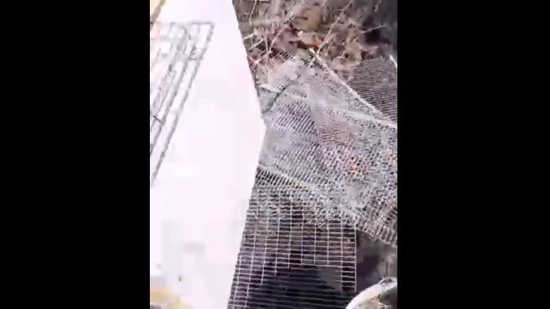 Тюменец обнаружил у себя на даче множество клещей