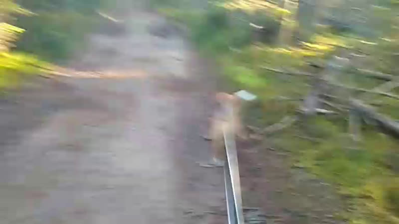 Рюрик нелетописный live