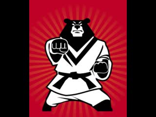 Taekwon do korshunov 480x576(1) mp4