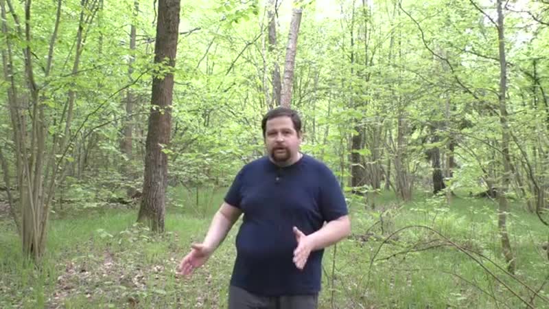 Почему россия вымирает