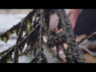 Ароматное происхождение s01e07 web dl 1080p east dream