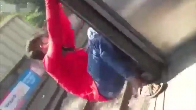 Номинант на премию дарвина