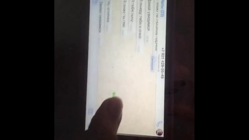 Инесса шевчук как подделать переписку в вотсап