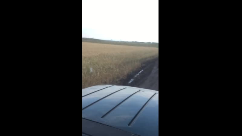 Откачивают фекалии на поле