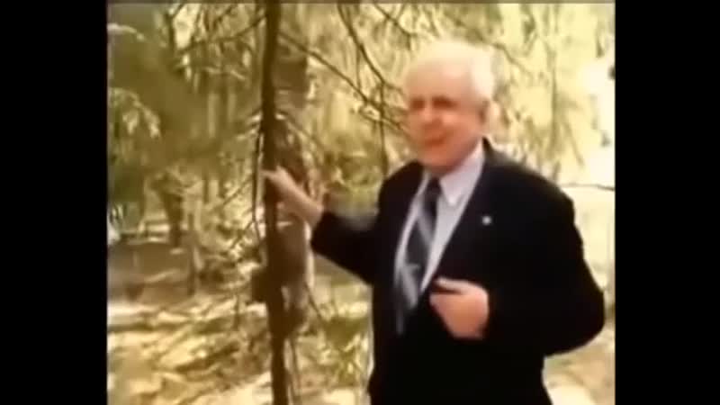 Вот что советует профессор неумывакин, чтобы сохранить здоровье до глубокой старости