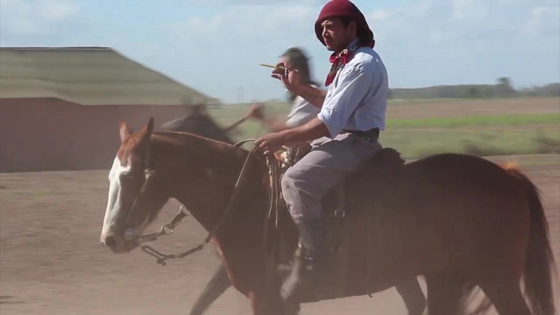 Argentina, fiesta gaucho, santa susana гаучо, туристический праздник