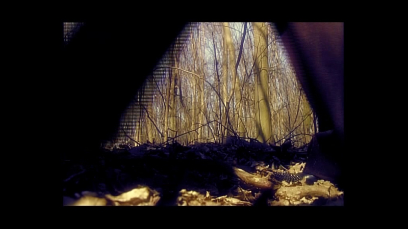 У пошуках легенд городок устина (2011) hd