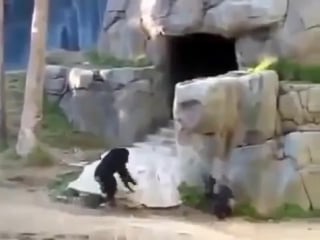 Зарежу нахуй