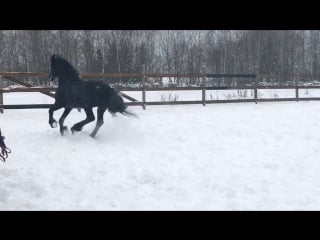 Видео от yuriy skripnik