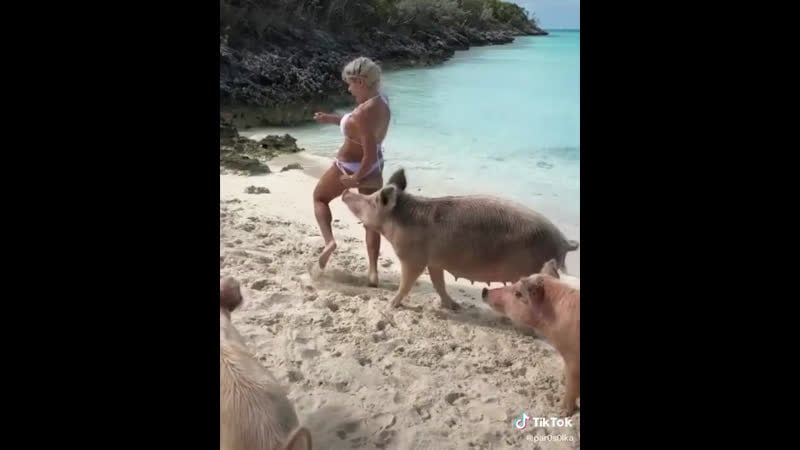 Девочку укусила свинья за жопу