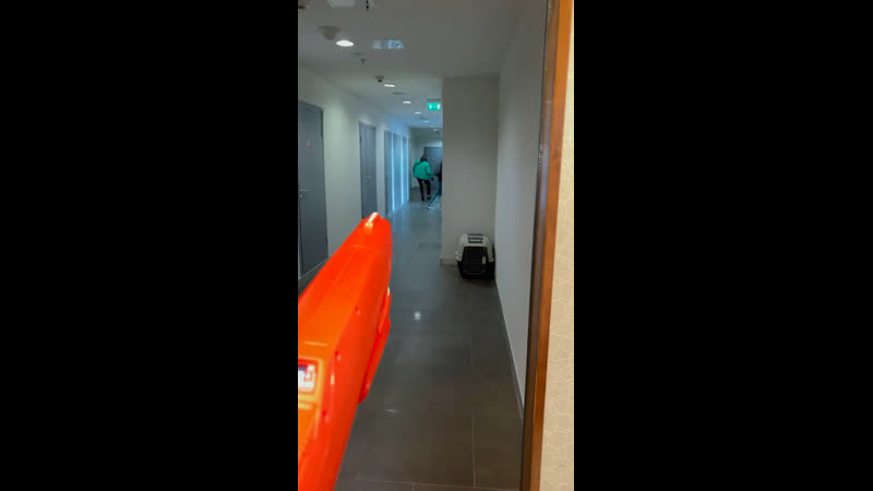 Встречайте гостей правильно