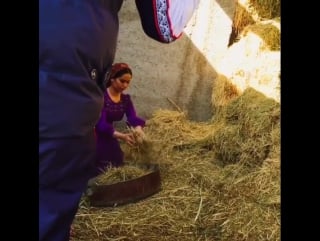 Amalia taze klipdan pursatlar