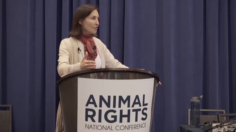Communication porn video – Vegan communication the problem and the promise dr melanie joy