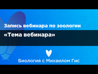 Превью зоология