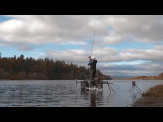 Видео от daiwa rus