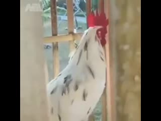 When you want to start the morning with positivity and energy, but suddenly realize you are living in 2020