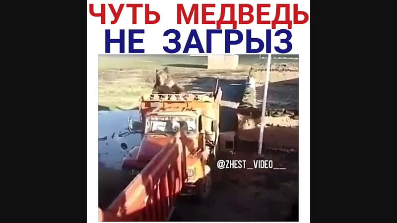 Чуть не загрыз медведь