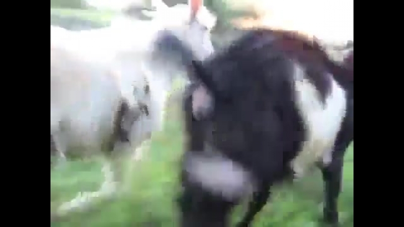 Колокольчик звенит, динь динь динь