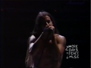 Red hot chili peppers woodstock 1994