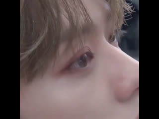 Minlix little kittens