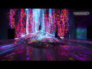 Музей цифрового искусства mori building digital art museum teamlab borderless