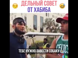 Хабиб нурмагомедов дал дельный совет парню, которому изменила девушка!