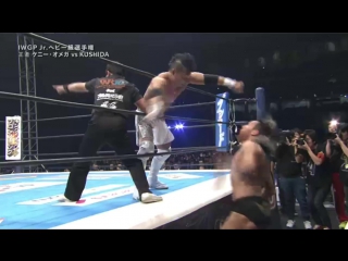 Кушида пр кенни омега (4 1 16)