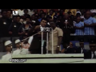 Muhammad ali fluttering like a butterfly, sting like a bee |