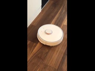 Storysaver diedari xx 53694630 416438435846131 2368435150543279696 n mp4