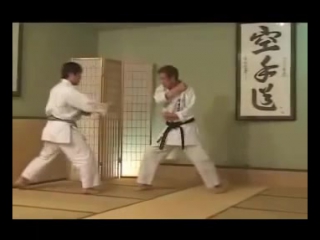 Kata heian shodan bunkai