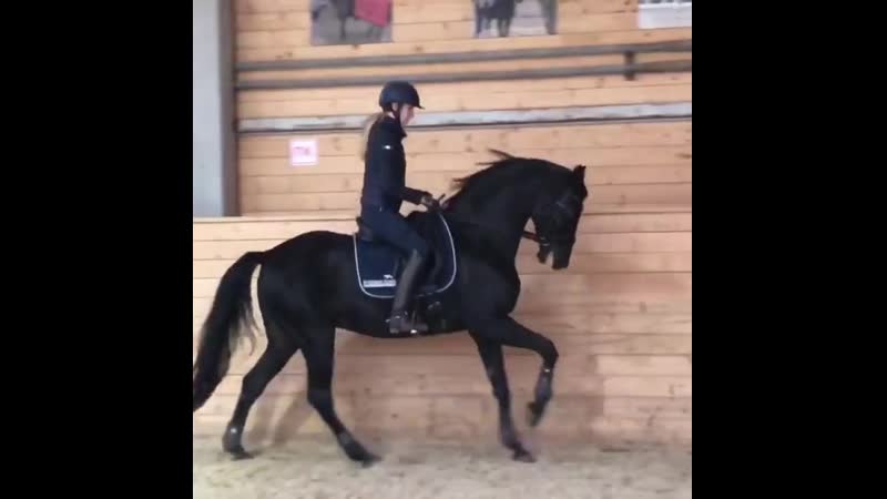 Екатерина мельник и русский верховой индор