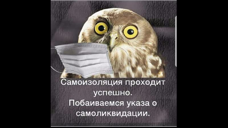 Нарушил самоизоляцию