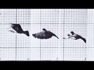 Animation basics the art of timing and spacing ted ed