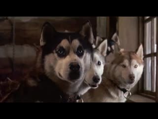 Снежные псы / snow dogs, 2002