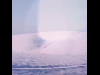 Dainese carve master 2